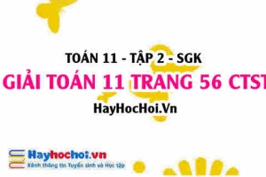 Giải Toán 11 trang 56 tập 2 Chân trời sáng tạo